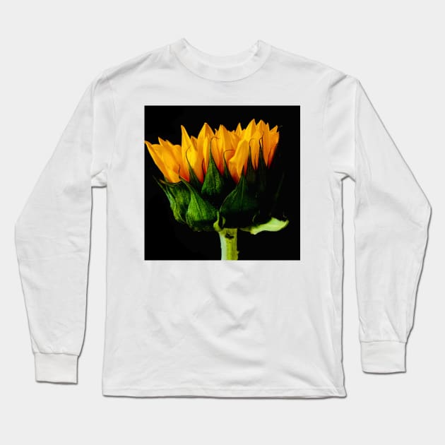 Sunflower Long Sleeve T-Shirt by baksuart